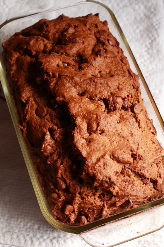 baked loaf pumpkin chocolate chip bread