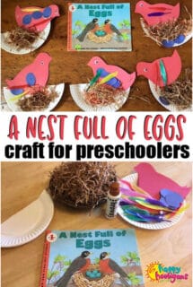 bird nest egg craft