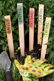 painted paint stick garden markers