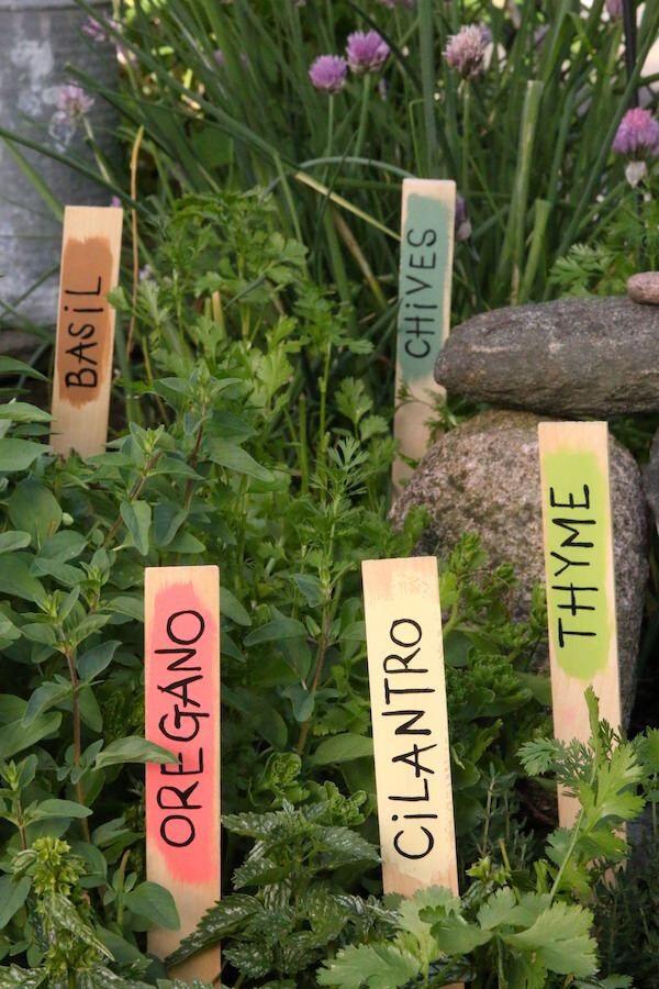 5 painted paint sticks identifying herbs in garden