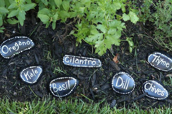 horizontal painted herb markers in garden