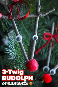 3-Twig Rudolph Ornaments