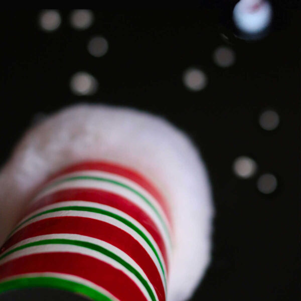 Red, green and white striped pringles can looking out at starry sky
